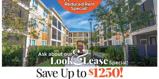 Reserve at Orange City Apartment Homes Gallery 1