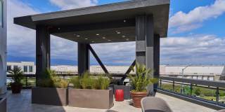 Vineyards Gallery 71