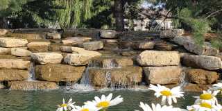 842 Grand Haven Way Gallery 15