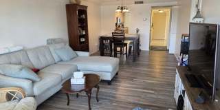 500 Palm Springs Boulevard Gallery 13