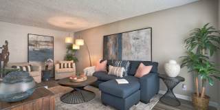 The Palm on SPID Gallery 6