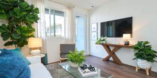 The Willows Gallery 61