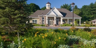 Hamilton Green Gallery 11