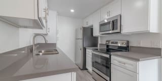 THE MODERN CACTUS Gallery 11