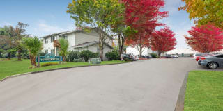 TownCenter Gallery 17