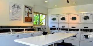 La Jolla Canyon Gallery 25