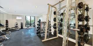 441 W Deming Place Gallery 53