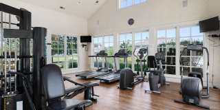 The Farms Gallery 27