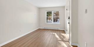 13 Sligo Street - 1 Gallery 3