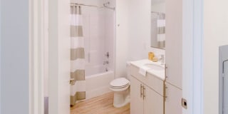 Edition Apartments Gallery 15