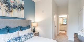 Edition on Oberlin Gallery 20