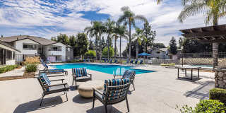 The Ashton Gallery 5