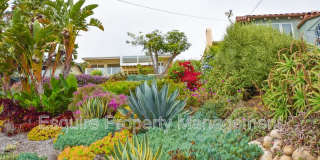 1275 BUENA VISTA ST Gallery 22