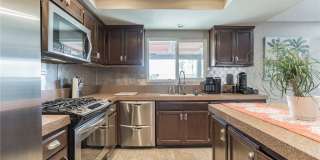 27350 Melanita Gallery 17