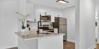 The Cloisters Gallery 3