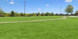 Bayou Reserve Gallery 46