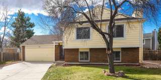 Beautiful 4 Bed, 2 Bath House in SW Fort Collins! Gallery 1