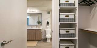 Allaso Olivine Gallery 20