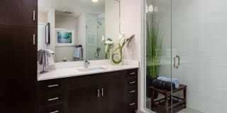 Avalon West Palm Beach Gallery 9