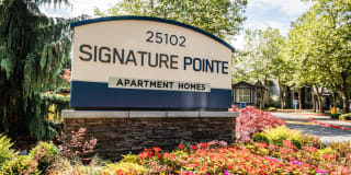 Signature Pointe Gallery 51