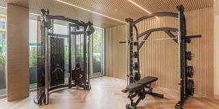 Citrus Commons Gallery 53