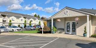 Millennium Park Gallery 19