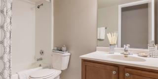 Cortland on South Eads Gallery 14