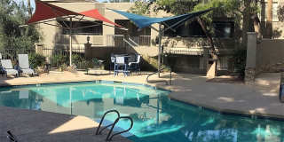 Spacious 1 Bedroom Condo in North Central Phoenix! Gallery 28