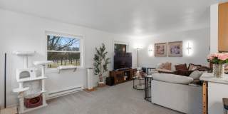 Honey Lane Gallery 1