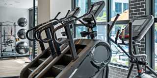 Aster & Links Gallery 91