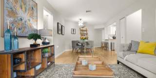 Emerald Palms Gallery 5