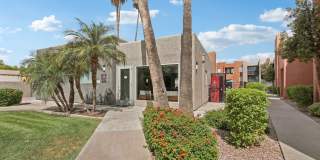 Candela Park Gallery 2