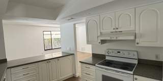 753 Tropical Circle Gallery 13