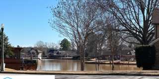 8712 Carrollwood Lane Gallery 27