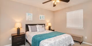 Sussex Downs Gallery 7