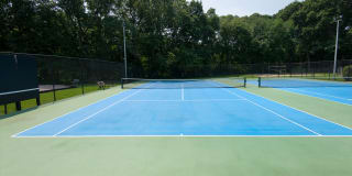 The Commons at Windsor Gardens Gallery 29