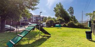 Carrington at Champion Forest Apartments Gallery 15