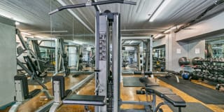 The Woodward Gallery 30