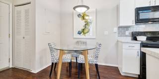 Vista Lake Ned Gallery 16