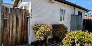 Cozy Studio, 1 Bath rental in Normal Heights for Rent Gallery 1