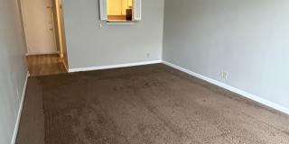 Forest Park Gallery 1