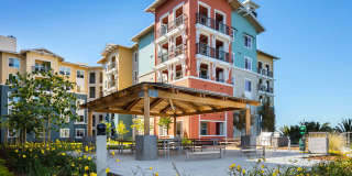 Blu Harbor by Windsor Gallery 5