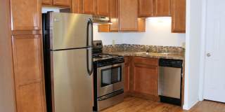 Springtree Gallery 4