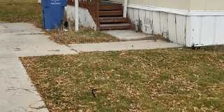 1900 S. 1100 W. #34 Gallery 1