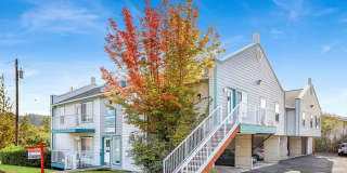 Heron's Nest Gallery 3