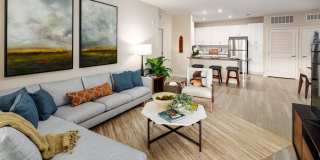 Shadetree Gallery 22