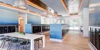 Marion Lake Gallery 17
