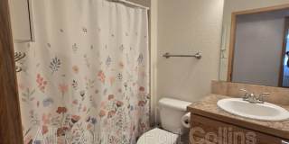 3727 Mount Spalding Drive Gallery 7