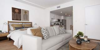 Vineyards Gallery 143