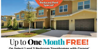 Cape Morris Cove Cape Morris Cove Gallery 1